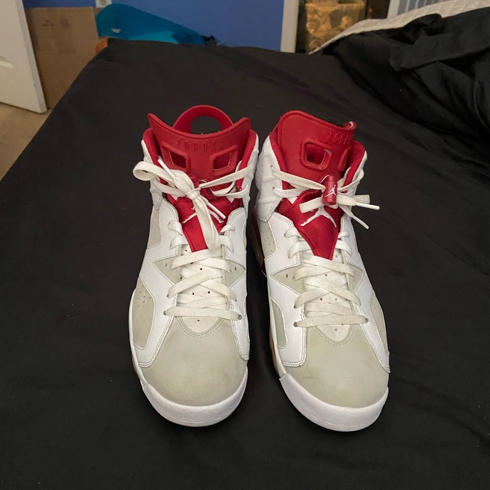 Jordan 6 alternate